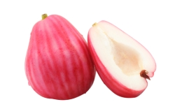 Boll i