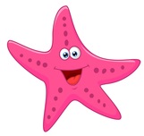 Star Fish