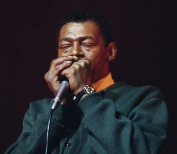 Little walter harmonica store